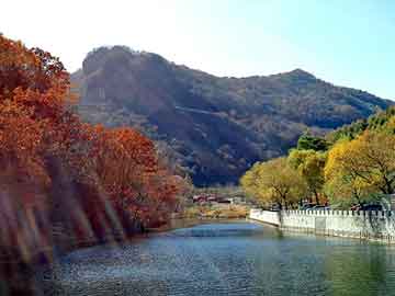 澳彩资料免费长期公开，龙吟黑潮